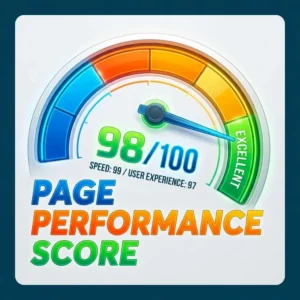 Page Performance Score